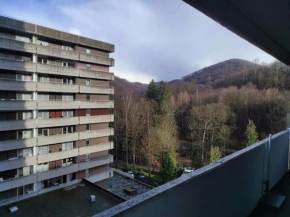 Ferienwohnung Harzverliebt